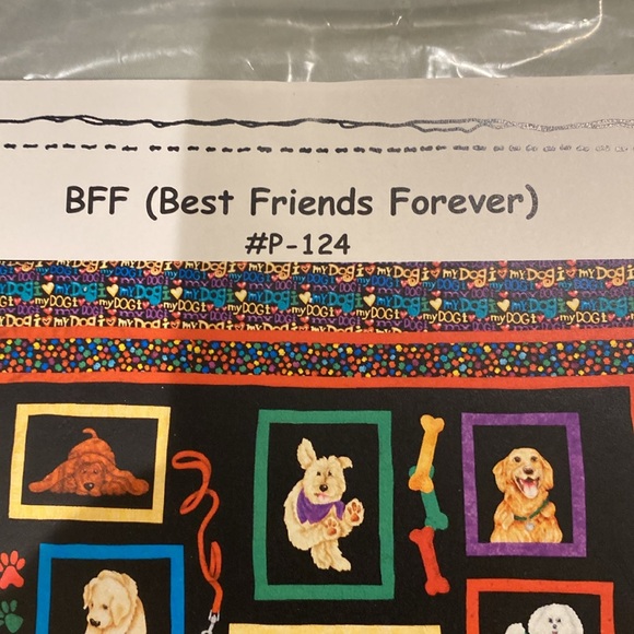 Quilt pattern. “ Best friends forever” from With Needle and Thread - Picture 2 of 8